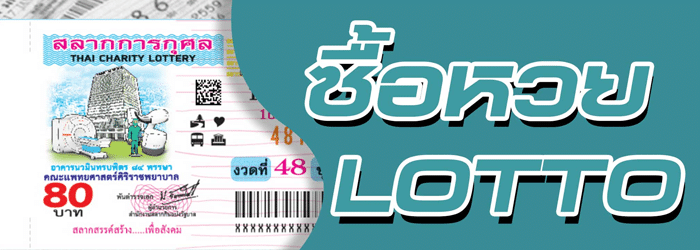 55gaga